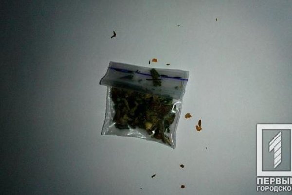 Что за приложение кракен