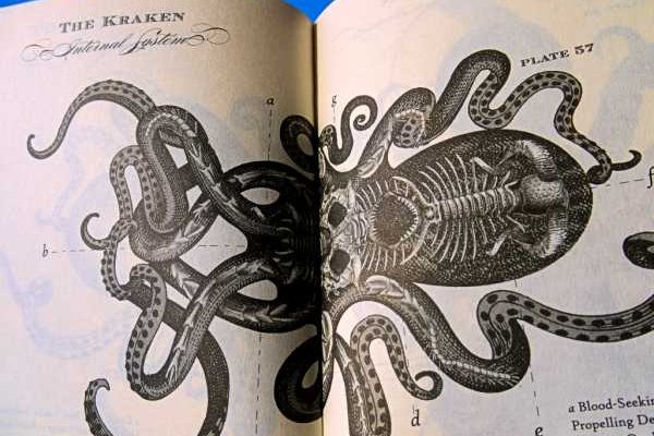 Покупки на кракене даркнет