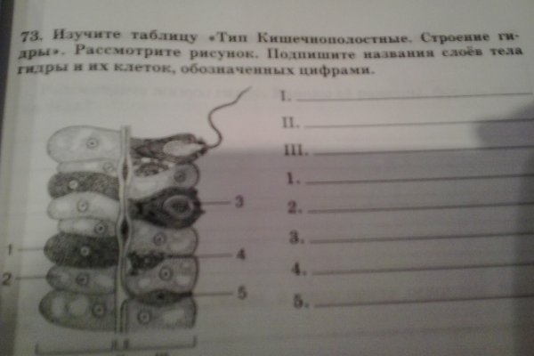 Kra50.at