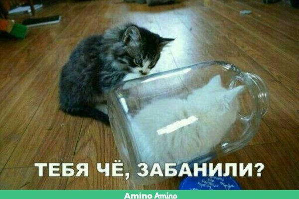 Кракен дарк шоп