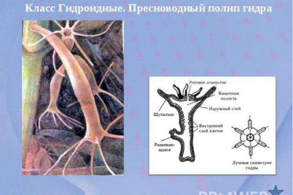 Вход в кракен