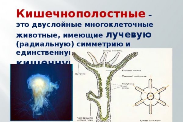 Кракен сайт маркетплейс