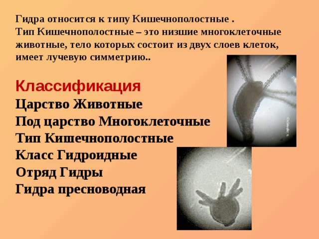 Кракен наркотики россия
