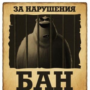 Кракен тгк